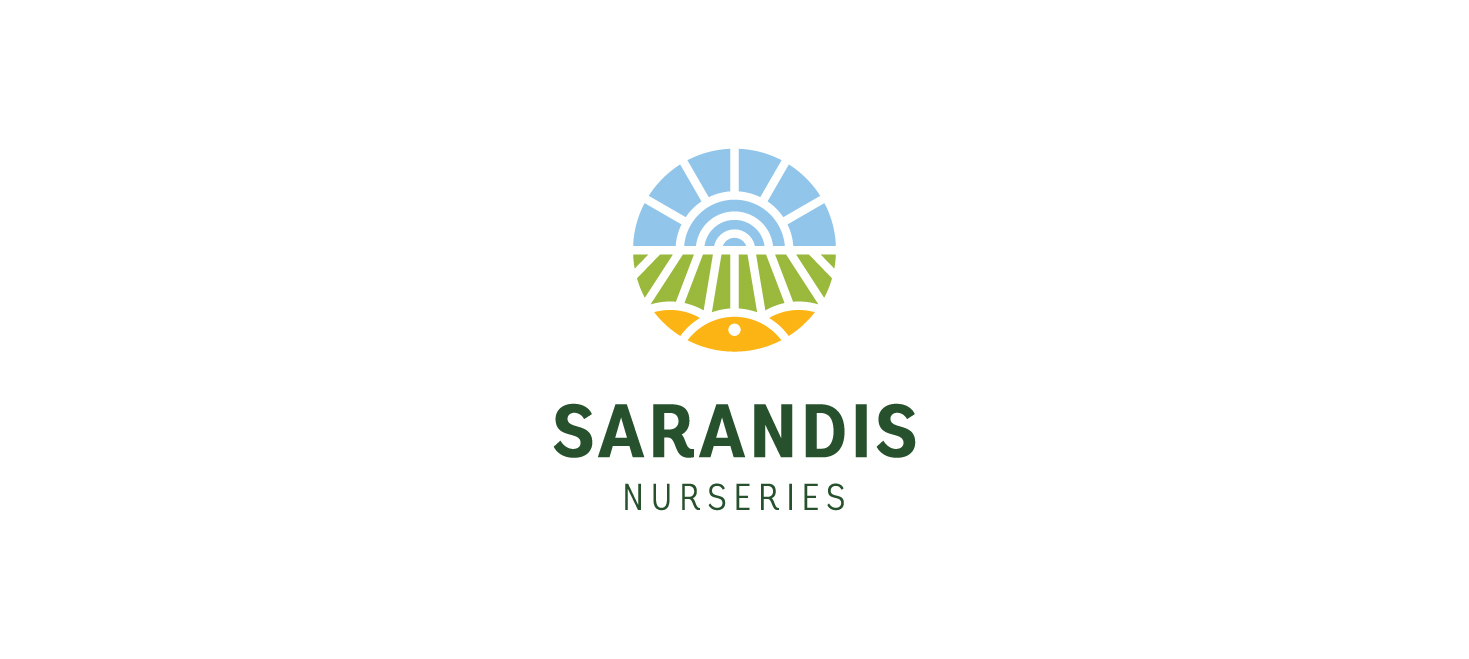 The main Sarandis logotype LOGO DESIGN