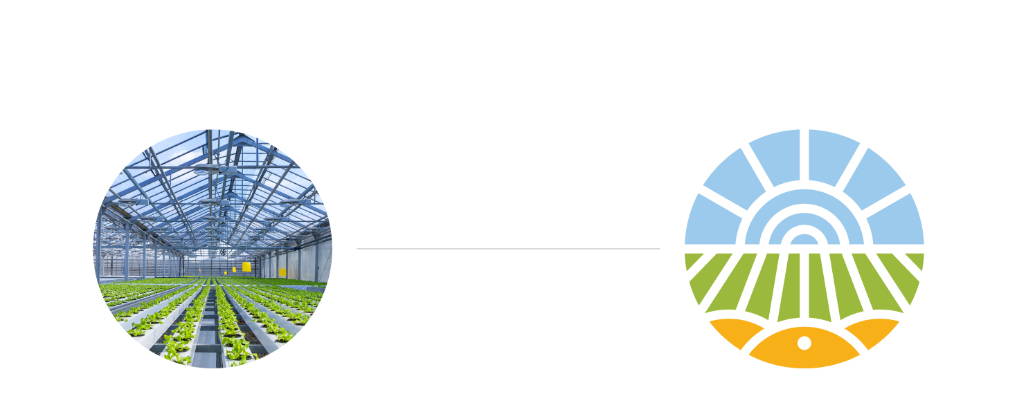 The inspiration for the Sarandis logomark came from perspective pictures of greenhouses LOGO DESIGN