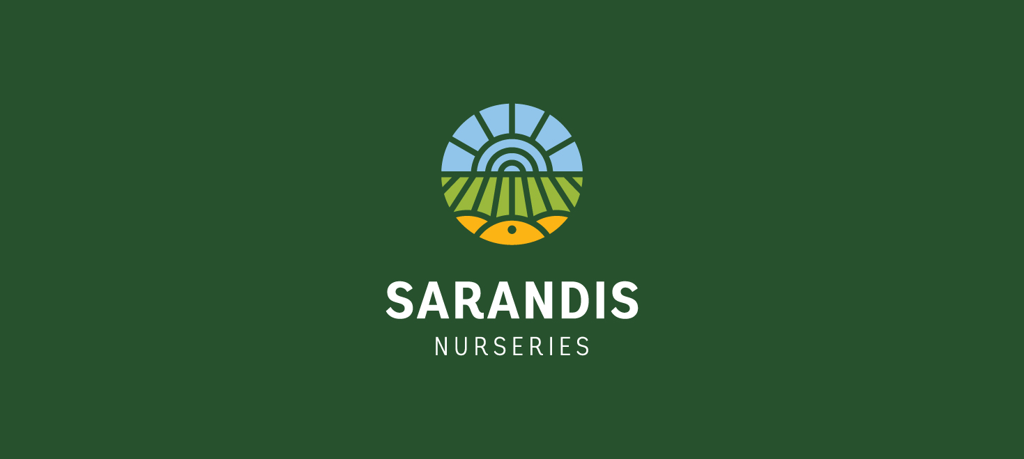 The logotype in negative colors LOGO DESIGN