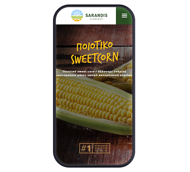 Σχεδιασμός Ιστοσελίδας | Ανάπτυξη Ιστοσελίδας | Σχεδιασμός Λογότυπου | Umbraco CMS